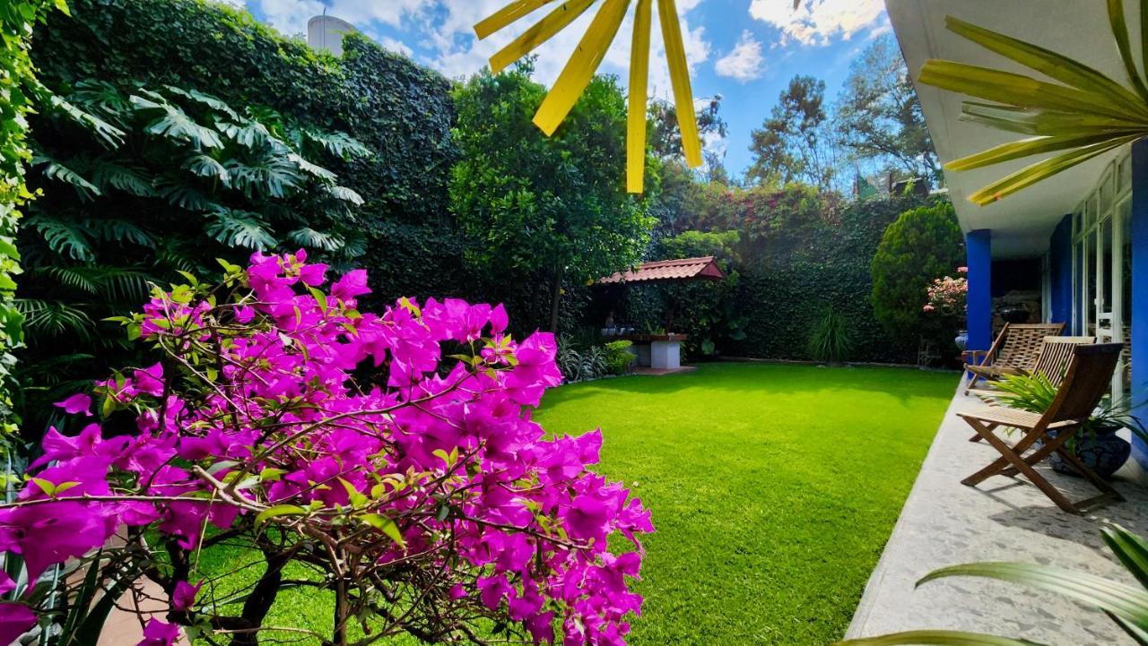 Casa Tamayo Cidade do México Exterior foto